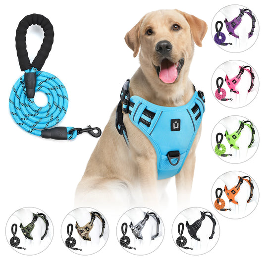 Dog Harness and Leash Combo