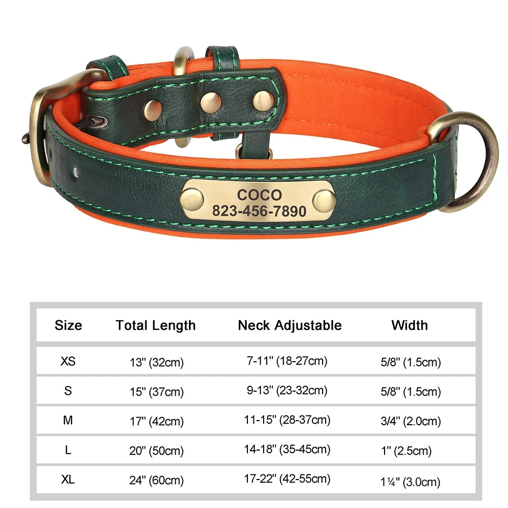 Personalized Leather Dog Collar
