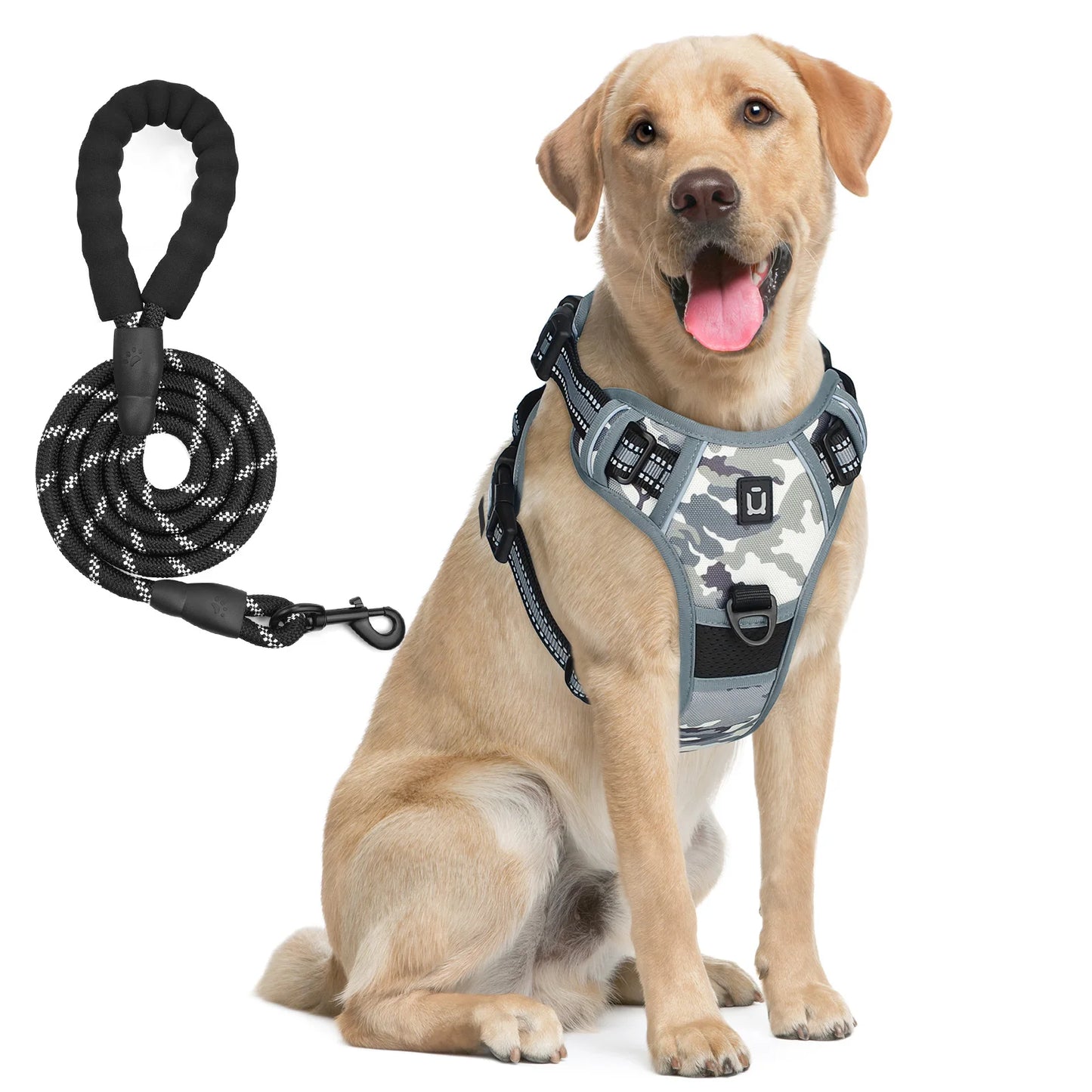 Dog Harness and Leash Combo