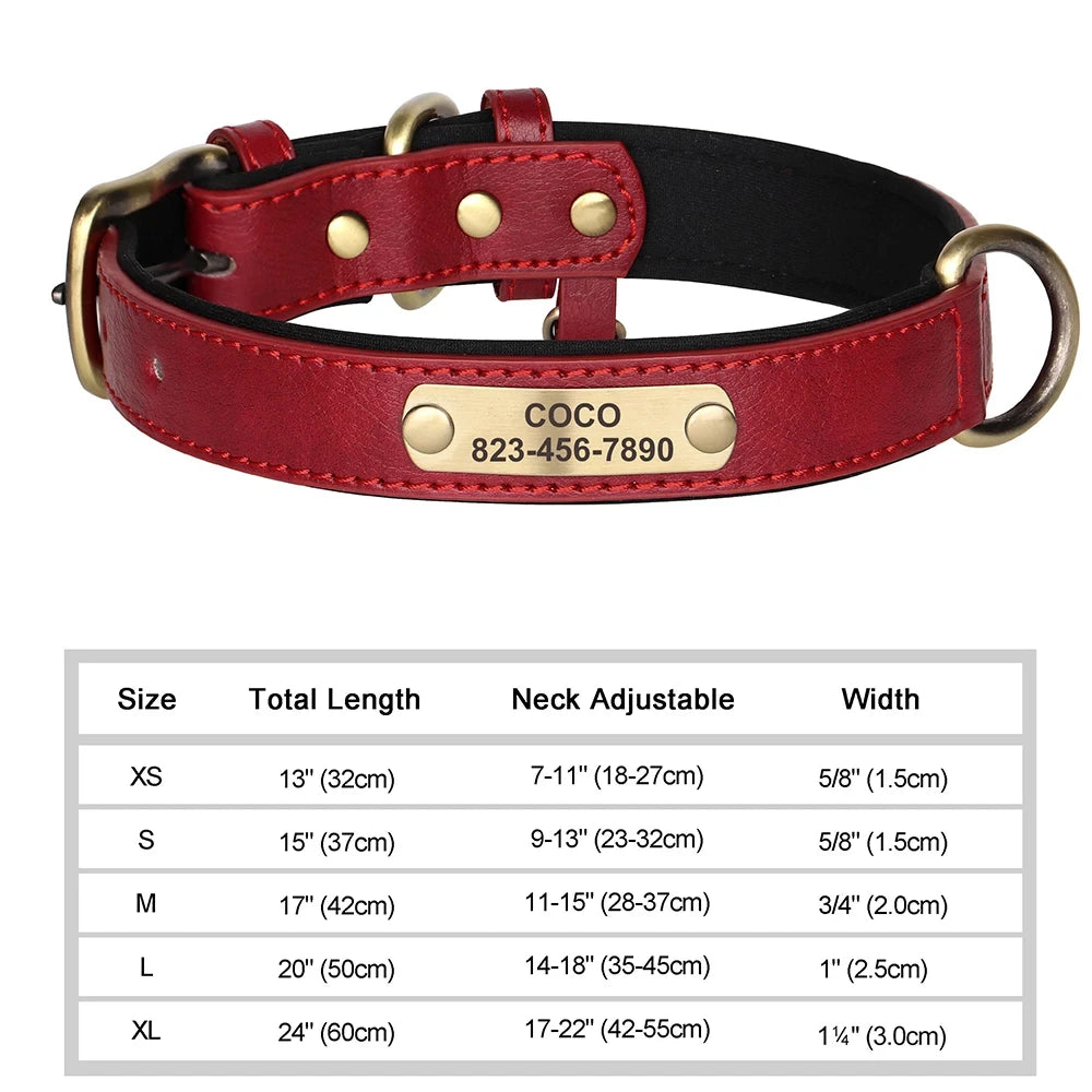 Personalized Leather Dog Collar