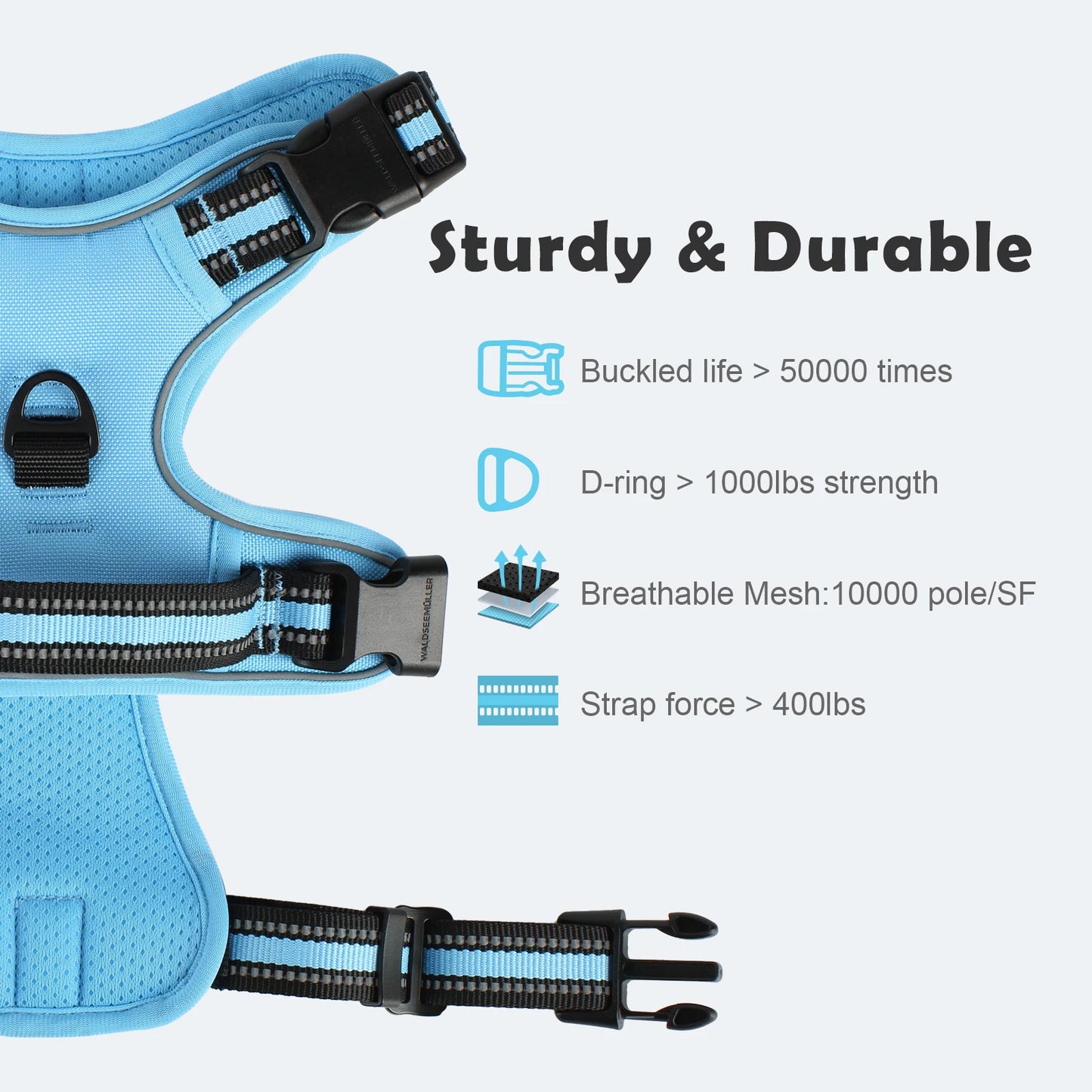 Dog Harness and Leash Combo