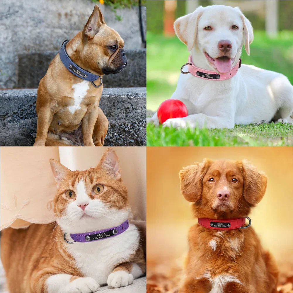 Personalized Leather Dog Collar