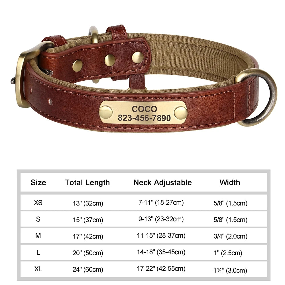 Personalized Leather Dog Collar