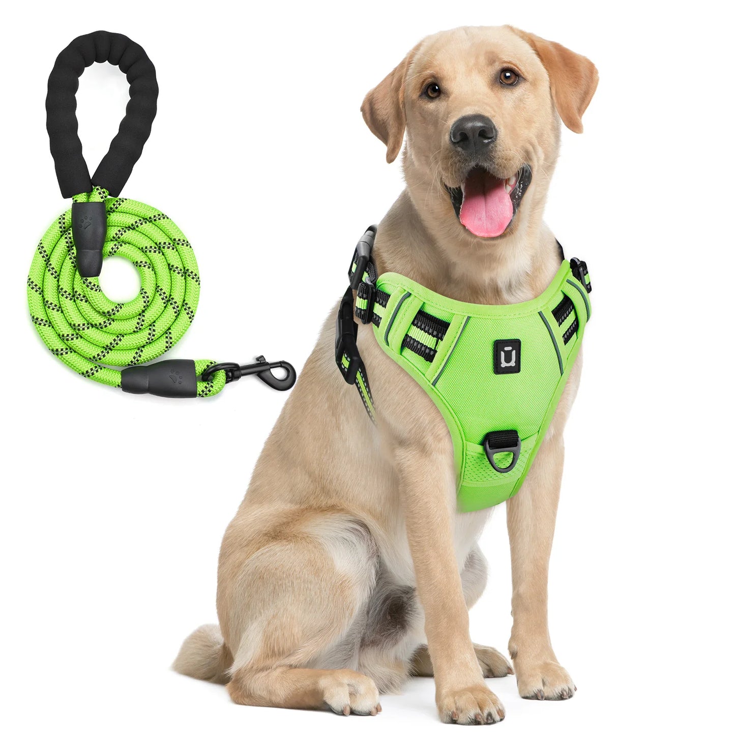Dog Harness and Leash Combo
