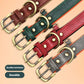 Personalized Leather Dog Collar