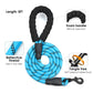 Dog Harness and Leash Combo