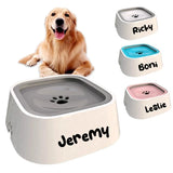 Custom Dog Drinking Water Bowl
