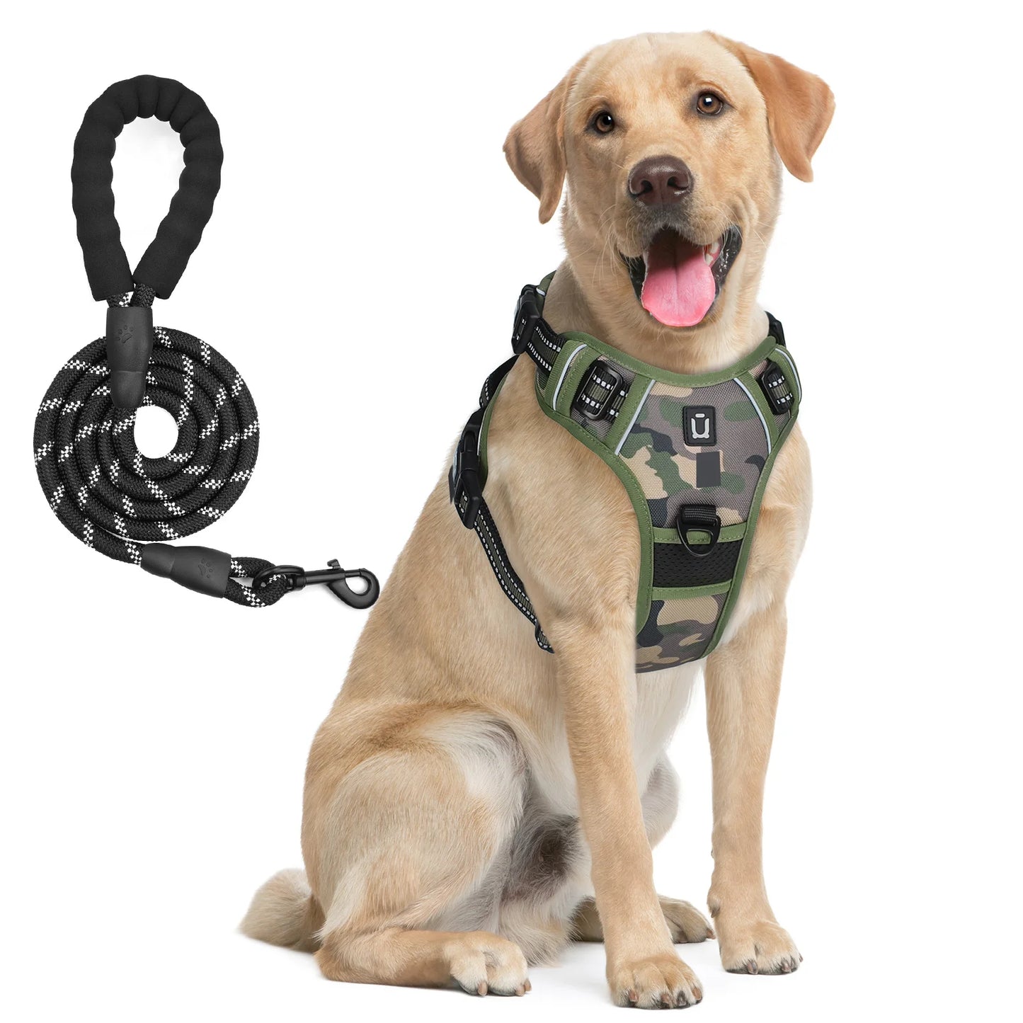 Dog Harness and Leash Combo