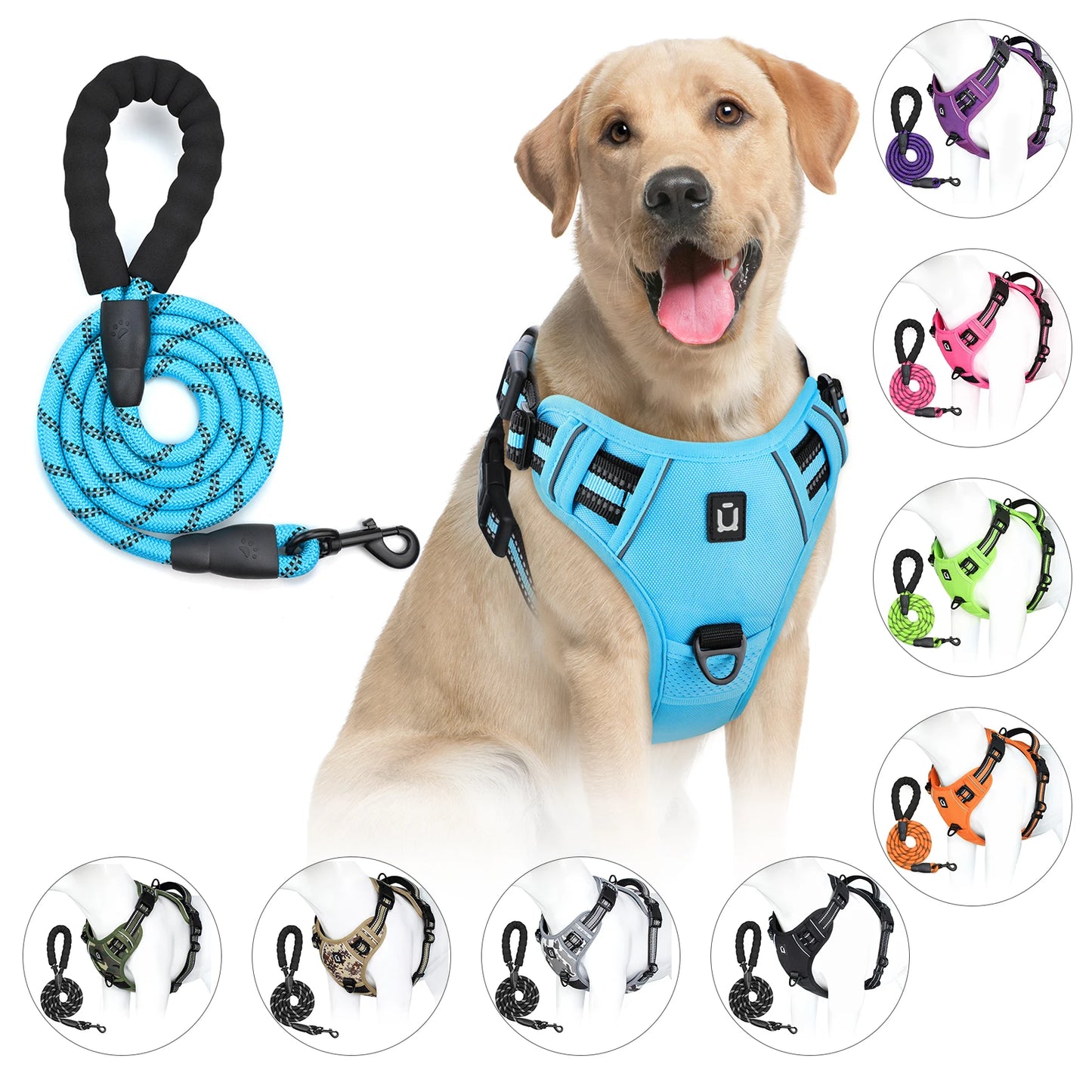 Dog Harness and Leash Combo