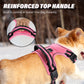 Dog Harness and Leash Combo