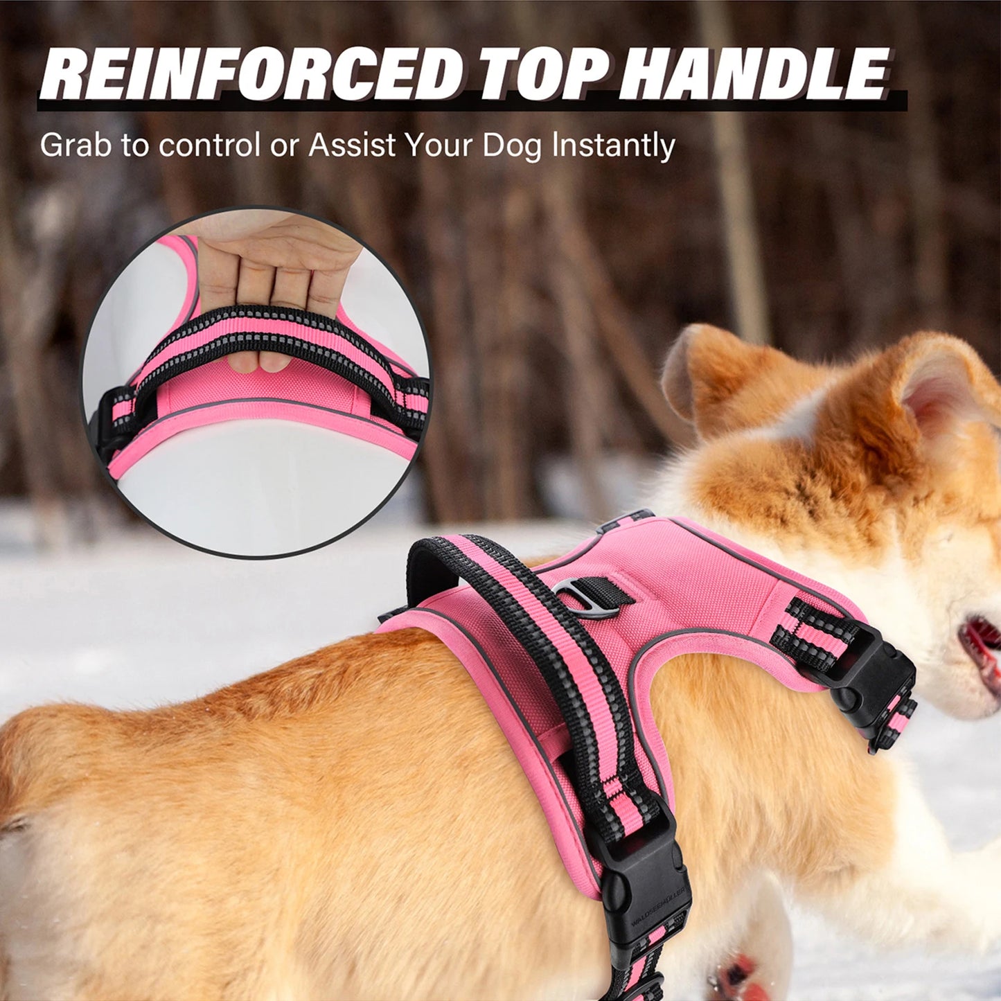 Dog Harness and Leash Combo