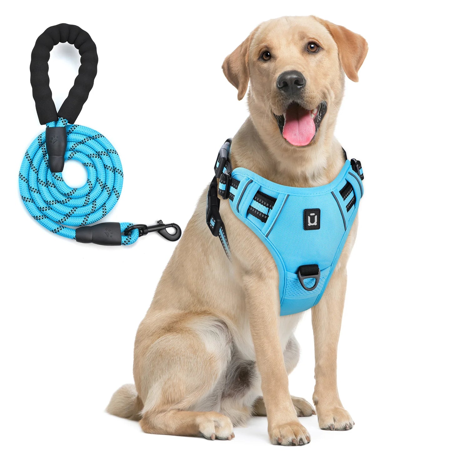 Dog Harness and Leash Combo