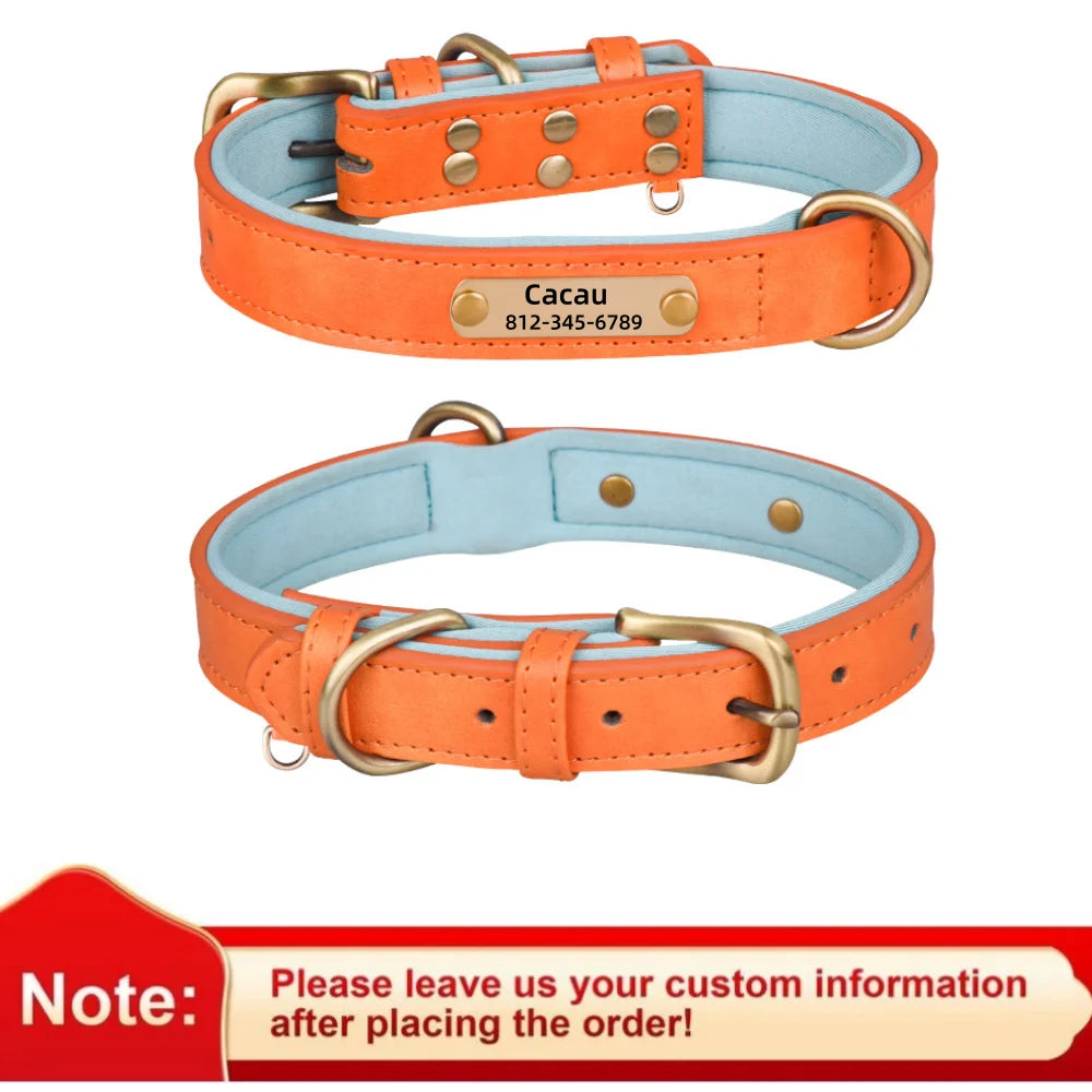 Personalized Leather Dog Collar