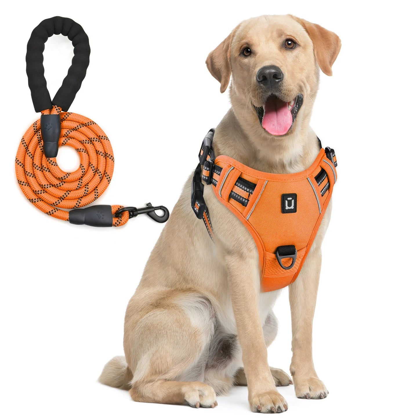 Dog Harness and Leash Combo