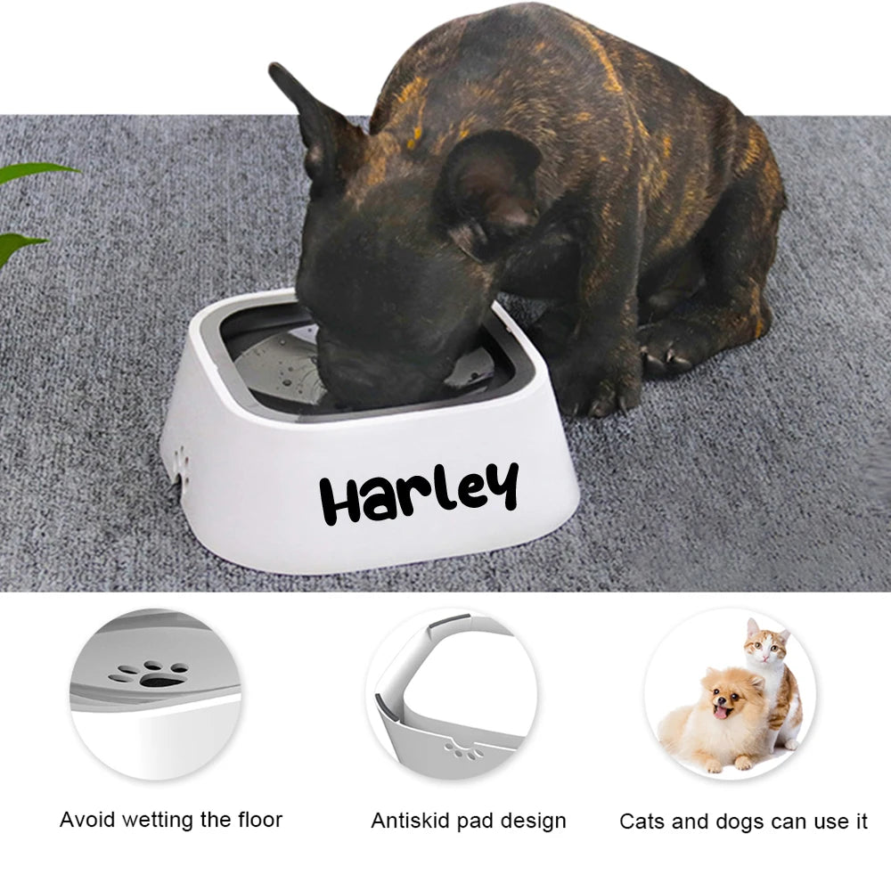 Custom Dog Drinking Water Bowl