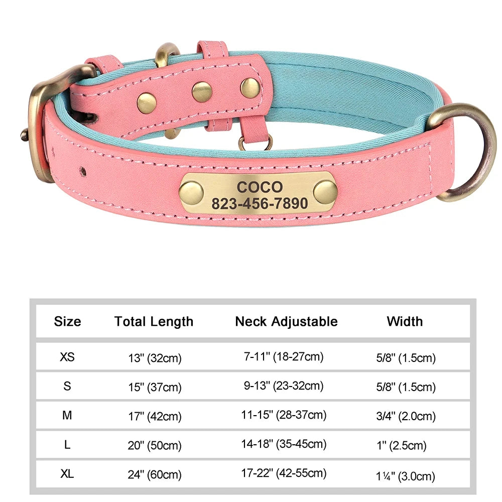 Personalized Leather Dog Collar